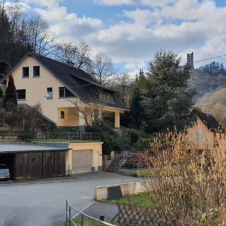 Grosses Ferienhaus Sauerburgblick Sauerthal エクステリア 写真