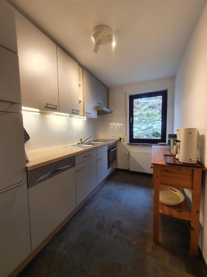 Grosses Ferienhaus Sauerburgblick Sauerthal エクステリア 写真
