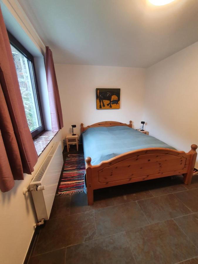Grosses Ferienhaus Sauerburgblick Sauerthal エクステリア 写真