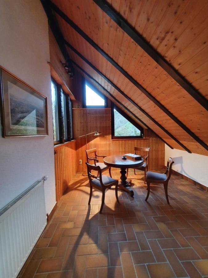 Grosses Ferienhaus Sauerburgblick Sauerthal エクステリア 写真