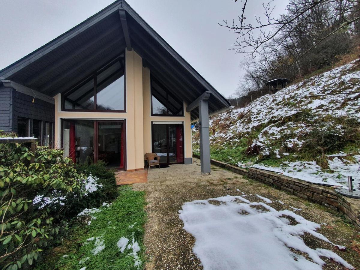 Grosses Ferienhaus Sauerburgblick Sauerthal エクステリア 写真
