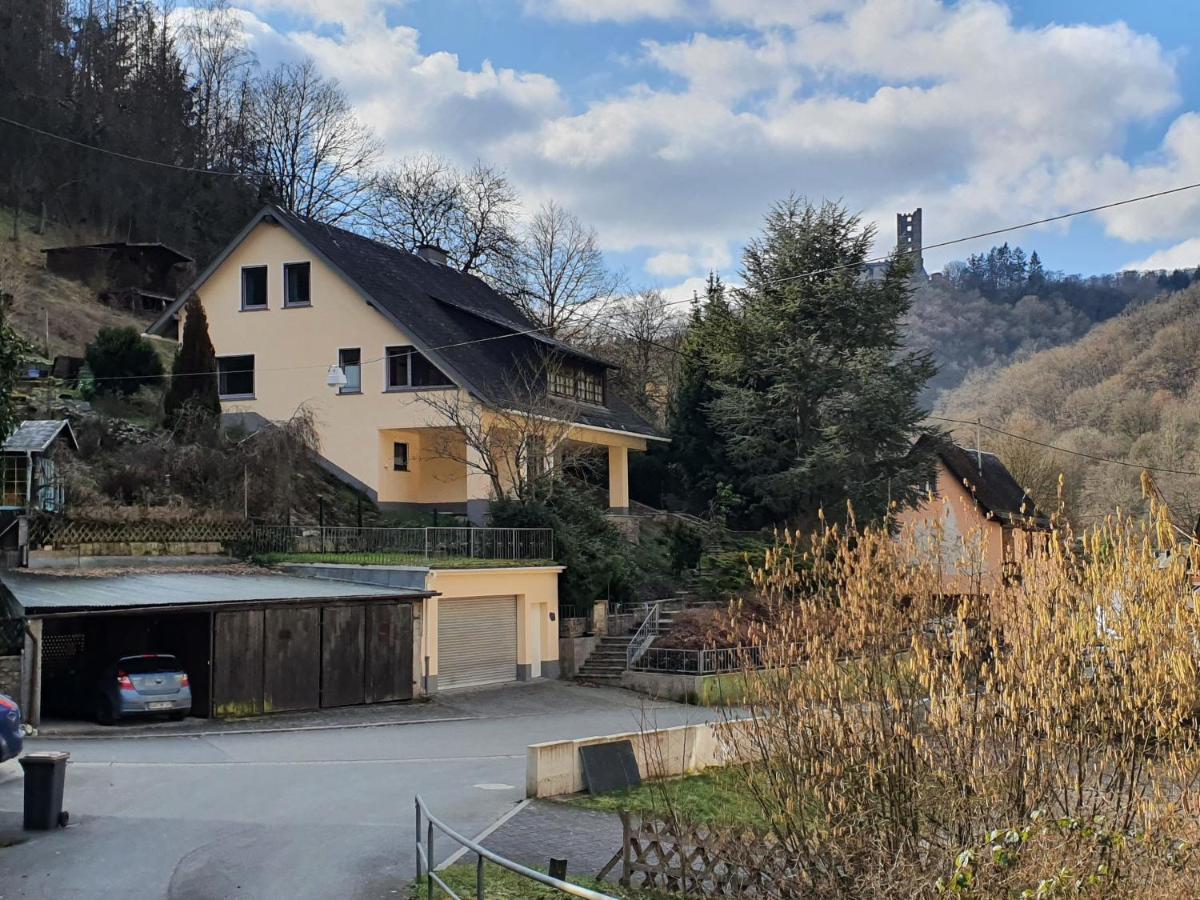 Grosses Ferienhaus Sauerburgblick Sauerthal エクステリア 写真