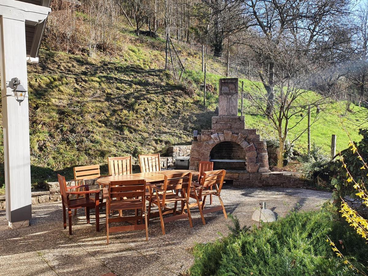 Grosses Ferienhaus Sauerburgblick Sauerthal エクステリア 写真